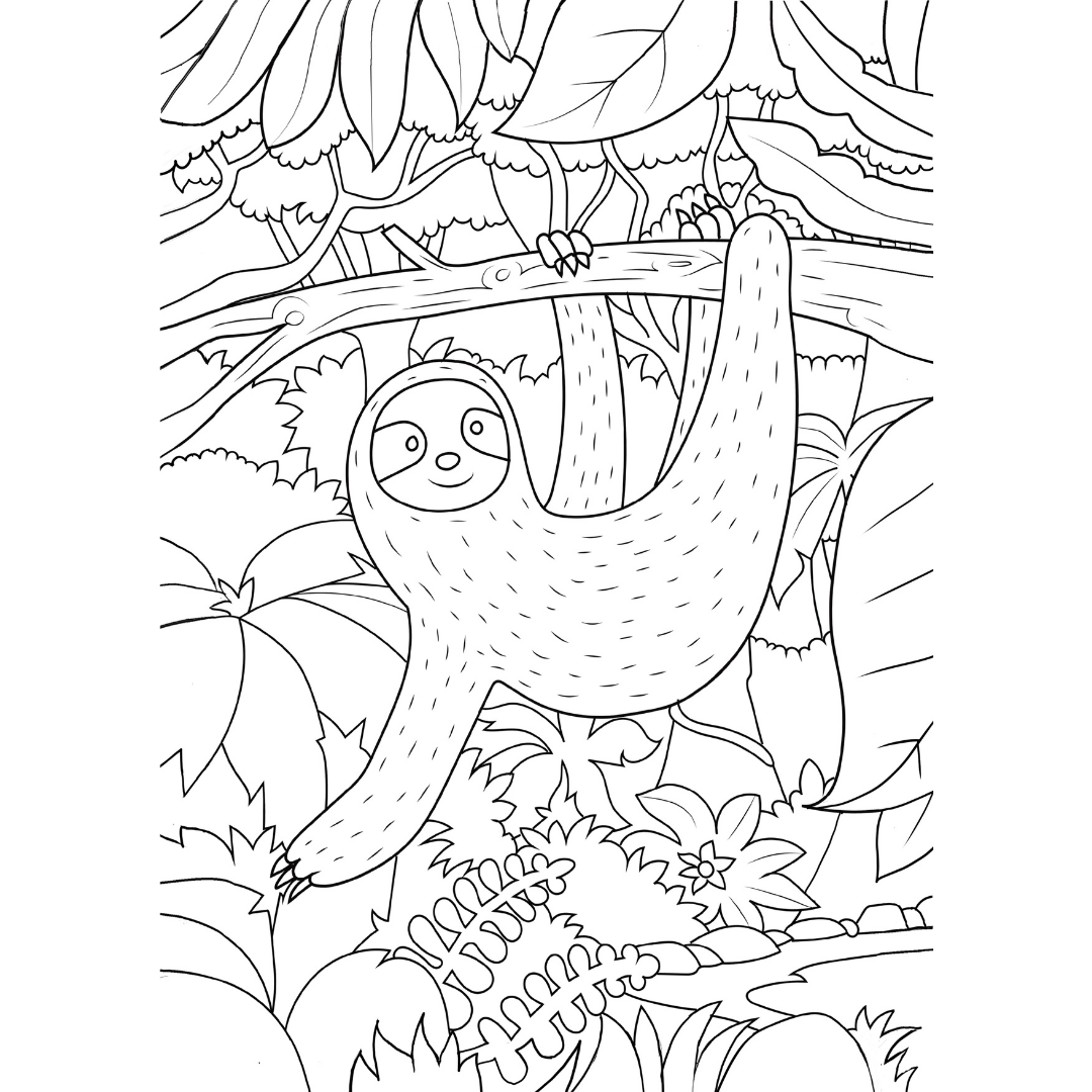 Nature Colouring Book