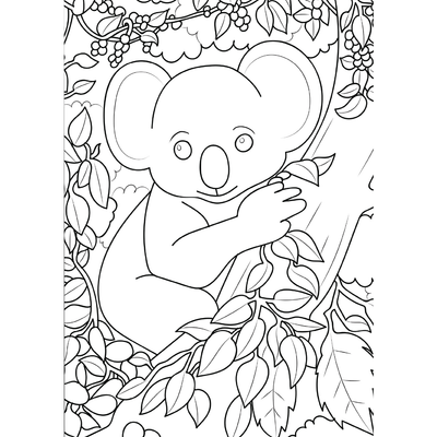 Nature Colouring Book